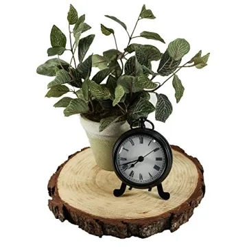 Rustic Wood Slices for Weddings and Crafts, 5 Pack