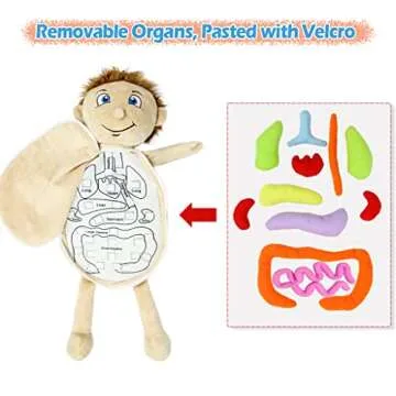KAKIBLIN Anatomy Toys for Kids, Human Body Model, Preschool Educational Organ Plush, Science Learning Kits, Body Organ Science Kits, Sensory Toys for Boys Girls