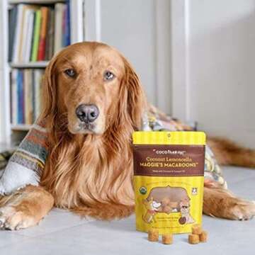 Cocotherapy Ctt-0013 Maggie'S Macaroons Coconut Lemoncello (1 Pouch), 4 Oz