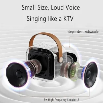 Glistenwing Mini Karaoke Machine with Wireless Microphones
