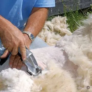 Premier 1 4000c Clipper Package for All Animals