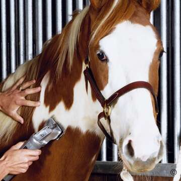 Premier 1 4000c Clipper Package for All Animals