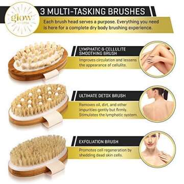 5 Piece Dry Brushing Body Brush Set for Skin Wellness