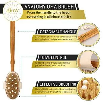 5 Piece Dry Brushing Body Brush Set for Skin Wellness