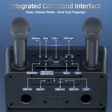SDRD SD-216 Karaoke Machine - 80W Sound, 2 Mics, LED Lights