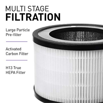 Compass Home Air Purifier with HEPA Filter for Allergies