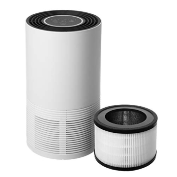 Compass Home Air Purifier with HEPA Filter for Allergies