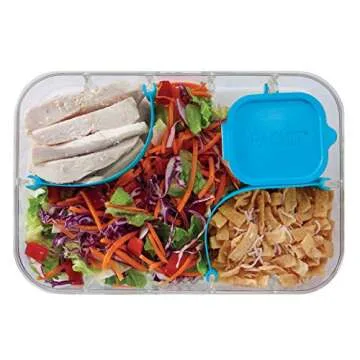 PackIt Flex Bento Container - Customize Your Lunch Today!