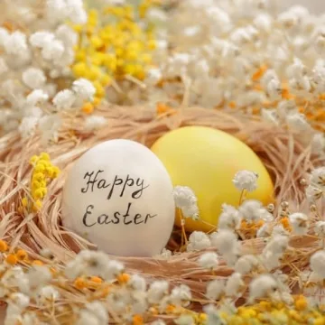 Dried Baby's Breath Flowers Bouquet for Home Decor