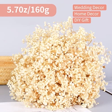 Dried Baby's Breath Flowers Bouquet for Home Decor