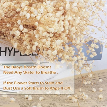 Dried Baby's Breath Flowers Bouquet for Home Decor