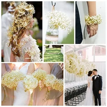 Dried Baby's Breath Flowers Bouquet for Home Decor