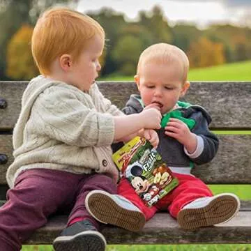 Brothers-ALL-Natural Fruit Crisps - Healthy Snack Pack of 12