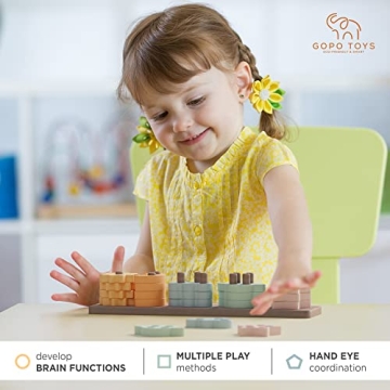 GOPO TOYS Montessori Wooden Sorting and Stacking Toy 18+