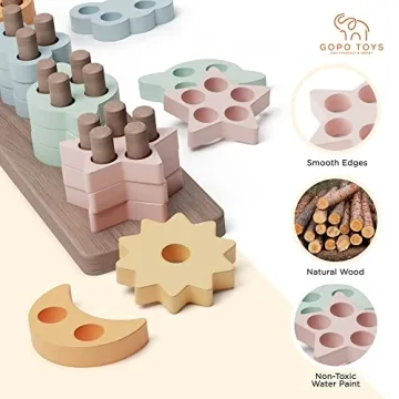 GOPO TOYS Montessori Wooden Sorting and Stacking Toy 18+