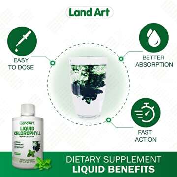 Liquid Chlorophyll Mint Flavored – Cold Extracted from Wild Non-GMO Alfalfa - Detox - Alkaline - Natural Body Deodorant – Antioxidant - 16 fl oz