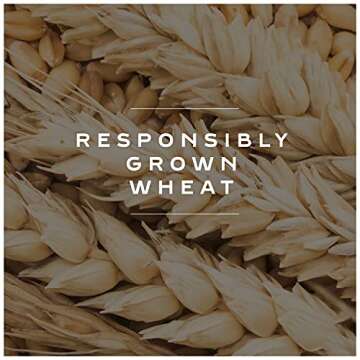 Bahlsen Delice Cookies - Buttery Puff Pastry Delight