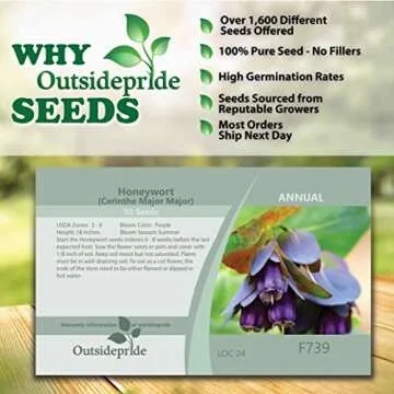 Outsidepride Honeywort Seeds - Abstract Beauty for All Gardens
