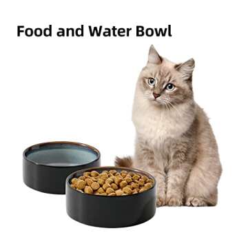 Havniva Ceramic Cat Bowls - Stylish and Non-Slip Set of 2