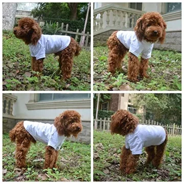 Lovelonglong Dog T-Shirt for Comfortable Stylish Pets