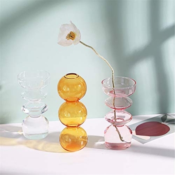 Stylish JSPYFITS Hydroponic Flower Vase for Modern Homes