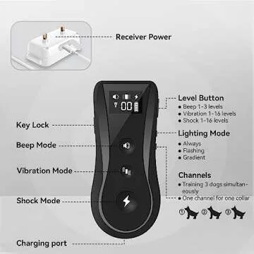 Humane Dog Training Collar with Remote Control – Petavern