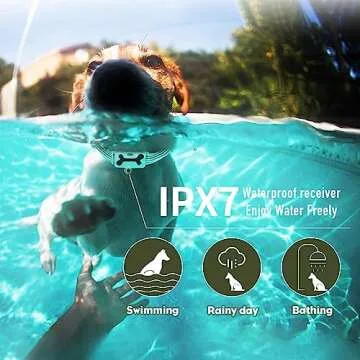 Humane Dog Training Collar with Remote Control – Petavern