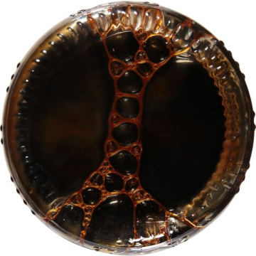 Kikkoman Gluten Free Soy Sauce for Authentic Asian Flavor