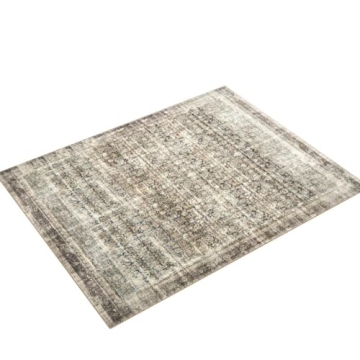 Loloi Amber Lewis Rug - Elegant, Soft & Durable Area Rug