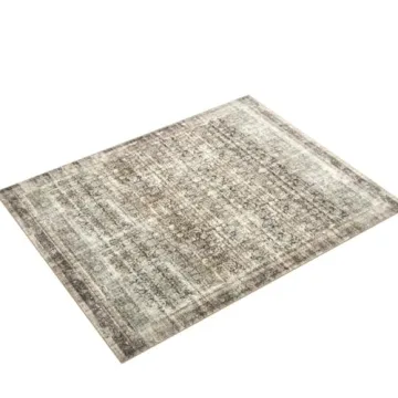 Loloi Amber Lewis Rug - Elegant, Soft & Durable Area Rug