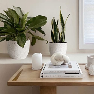 Giraffe Creation 3-Pot Set - Trendy Plant Pots with Drainage