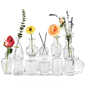 BIGIVACA Small Glass Bud Vases Set of 12,Mini Clear Bud Vases in Bulk,Small Flower Vases for Centerp...