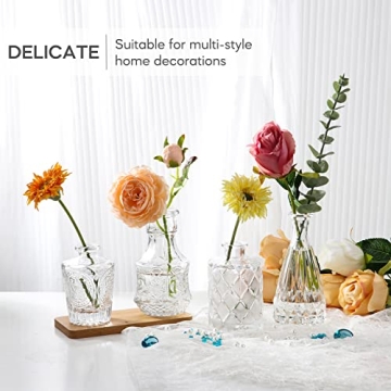 Elegant BIGIVACA Small Glass Bud Vases Set of 12