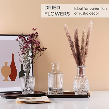 Elegant BIGIVACA Small Glass Bud Vases Set of 12