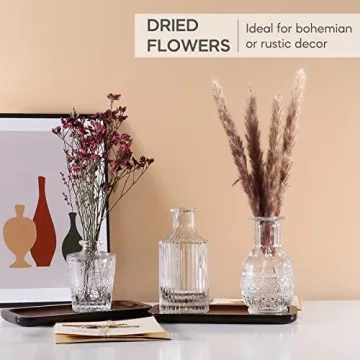 Elegant BIGIVACA Small Glass Bud Vases Set of 12