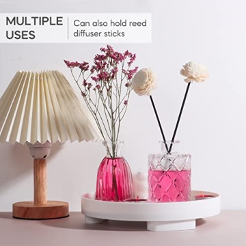 Elegant BIGIVACA Small Glass Bud Vases Set of 12