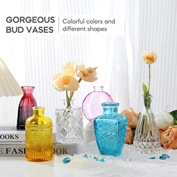 Elegant BIGIVACA Small Glass Bud Vases Set of 12