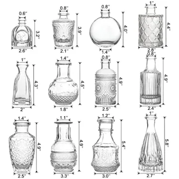 Elegant BIGIVACA Small Glass Bud Vases Set of 12