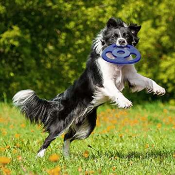 SuperChewy Tough Tug Flying Disc Toy for Dogs