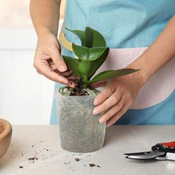 Elcoho 60 Pack 6/5/4/3 Inch Plant Nursery Pots Transparent Plastic Gardening Pot Soft Seed Starting Pot Flower Plant Container with Drainage Hole for Seedling Succulent Vegetable Flowers