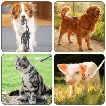 ERKOON Double Ended Bolt Snaps with 220lbs Capacity