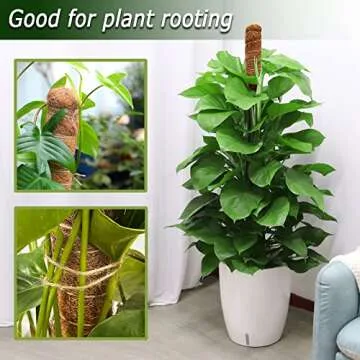 28-Inch Bendable Moss Poles for Climbing Plants Indoor