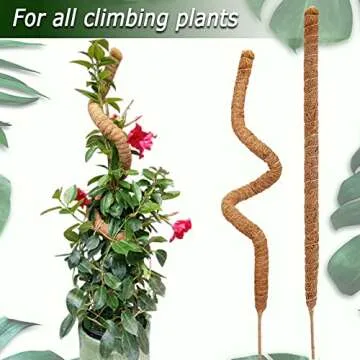 28-Inch Bendable Moss Poles for Climbing Plants Indoor