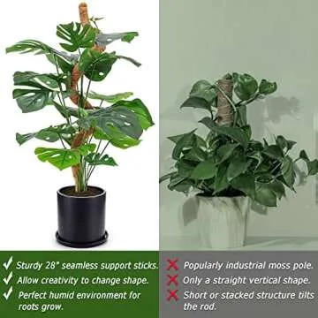 28-Inch Bendable Moss Poles for Climbing Plants Indoor