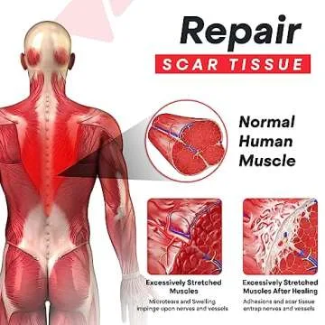 Aculever Psoas Release Tool for Back Pain Relief