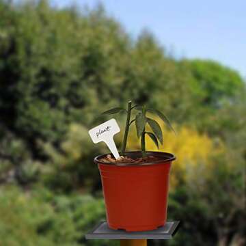 KINJOEK 110 Packs 6 Inch 0.5 Gallon Plastic Plants Nursery Pots, Flower Plant Growing Container Seed Starting Planter Bulk for Seedling Transplant Indoor Outdoor Supply, Garden Yard Park