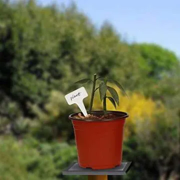 KINJOEK 110 Packs 6 Inch 0.5 Gallon Plastic Plants Nursery Pots, Flower Plant Growing Container Seed Starting Planter Bulk for Seedling Transplant Indoor Outdoor Supply, Garden Yard Park