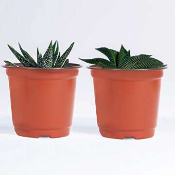 KINJOEK 110 Packs 6 Inch 0.5 Gallon Plastic Plants Nursery Pots, Flower Plant Growing Container Seed Starting Planter Bulk for Seedling Transplant Indoor Outdoor Supply, Garden Yard Park