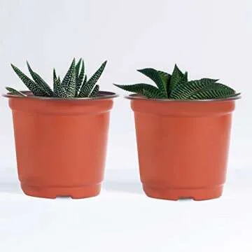 KINJOEK 110 Packs 6 Inch 0.5 Gallon Plastic Plants Nursery Pots, Flower Plant Growing Container Seed Starting Planter Bulk for Seedling Transplant Indoor Outdoor Supply, Garden Yard Park