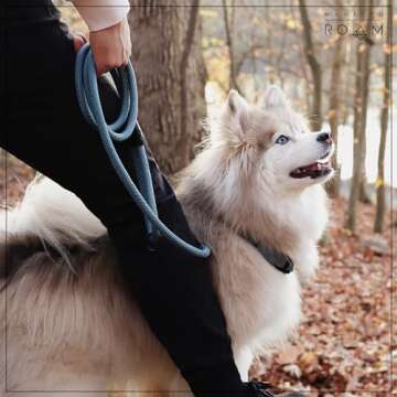 MADE TO ROAM Premium Explorer Leash - Climbing Rope Leash with Autolocking Aviation Aluminum Carabiner - California Horizon, 6ft